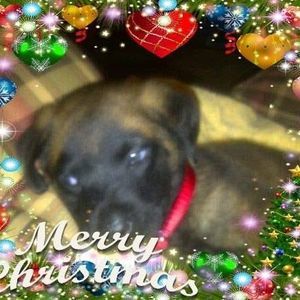 Meet your Posher, Art